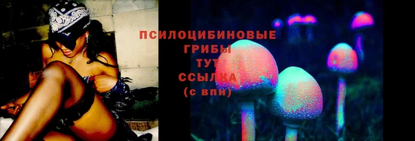 соль курить ск Богородск