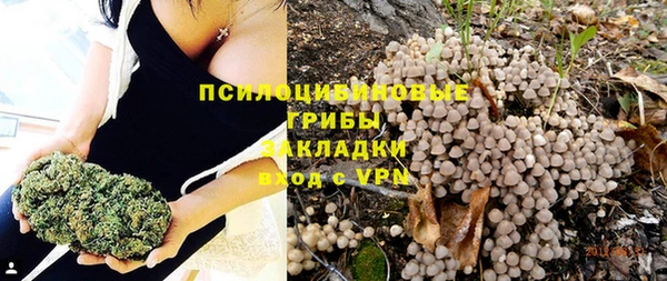 соль курить ск Богородск