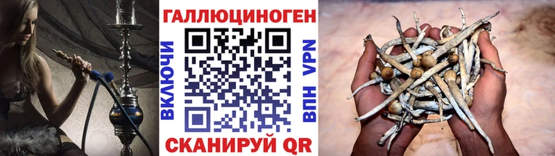 ссылка на мегу ссылка  Киселёвск  Галлюциногенные грибы мухоморы  цена наркотик 